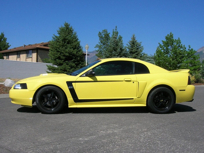 1999-2004 Mustang C-Stripes - Rocky Mountain Graphics