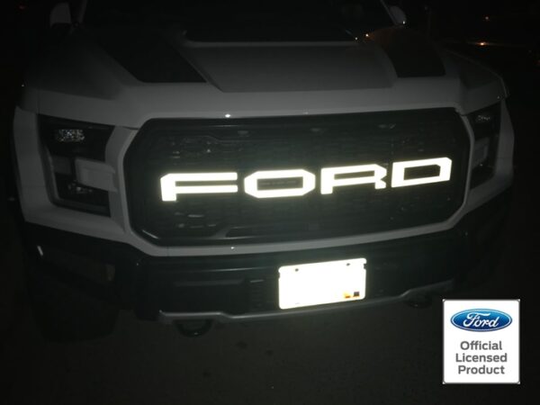 2017-RAPTOR-REFLECTIVE-GRILL-LETTERS