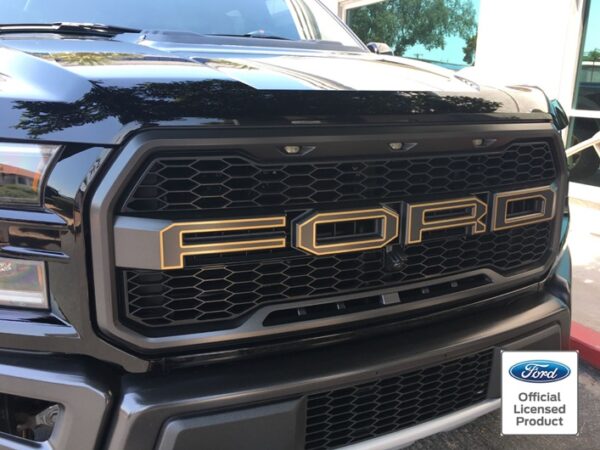 ROCKY-MOUNTAIN-GRAPHICS-2017-RAPTOR-GRILLE-OUTLINES