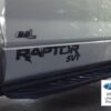 Raptor-Door-Graphics-1