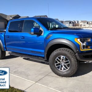2017-2020 Ford Raptor Side Raptor Decals - Rocky Mountain Graphics
