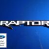 Rocky-Mountain-Graphics-Raptor-Emblem-Inlay-2
