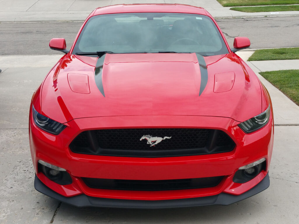2010 Ford Mustang Hood
