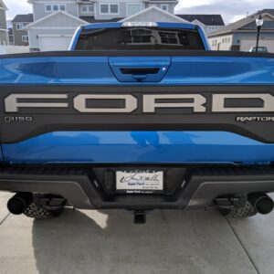 2017-2020 Ford Raptor Tailgate Letter Decals
