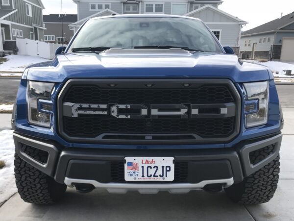 2017-2020 Ford Raptor Subdued Flag Grille Letters