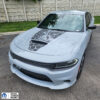 Fits 2015-2024 Dodge Charger Angry Bee With Honey Stripe Hood - Image 4