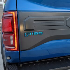 2017-2020 Ford Raptor F-150 Rear Emblem Reflective Overlay Decal Vinyl Graphics