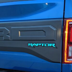 2017-2020 Ford Raptor Rear Emblem Reflective Inlay Decal Vinyl Graphics Stickers F150
