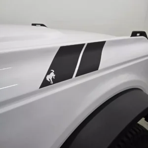 2021-2025 Ford Bronco Pony Hash Stripes - Pair