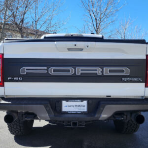 2021-2023 Ford Raptor tailgate Letter Decals with Outlines