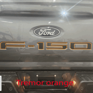 2024-2025 Ford F150 Pro Access Tailgate F-150 Letter With Outlines Vinyl Inserts Decals