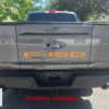 2021-2025 Ford F-150 tailgate letter F150 vinyl inserts decals - Image 8
