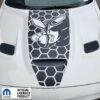 Fits 2019-2024 Dodge Challenger Hood Decal Scat Pack Bee W Honey Graphics Vinyl Sticker Decal - Image 6