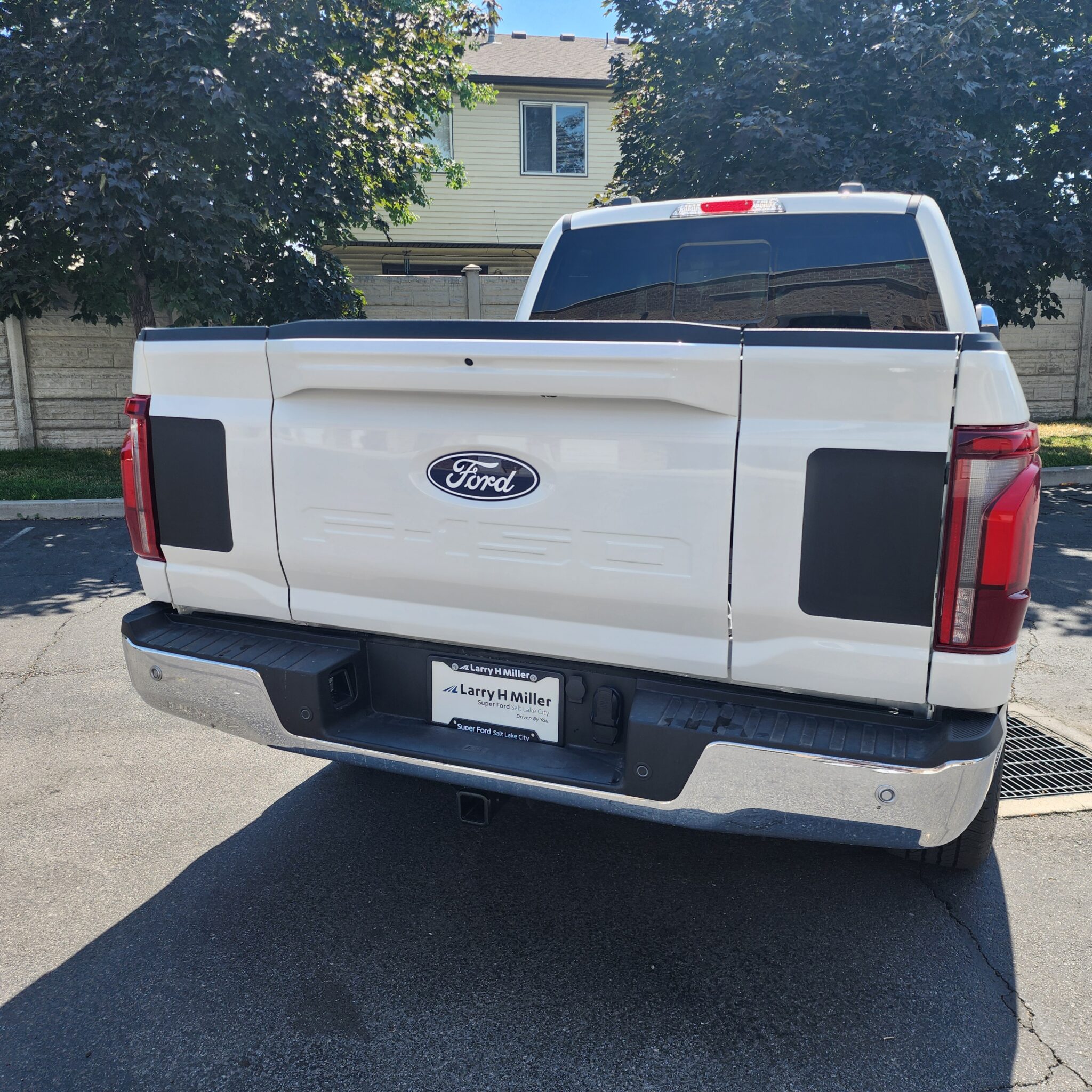 Fits 2024-2026 Ford f150 Pro Access Tailgate Insert Blackout Vinyl ...