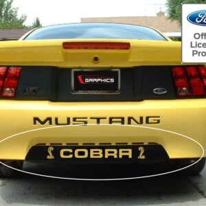 1999-2004 Ford Mustang Roush Style Bumper Insert with Cobra